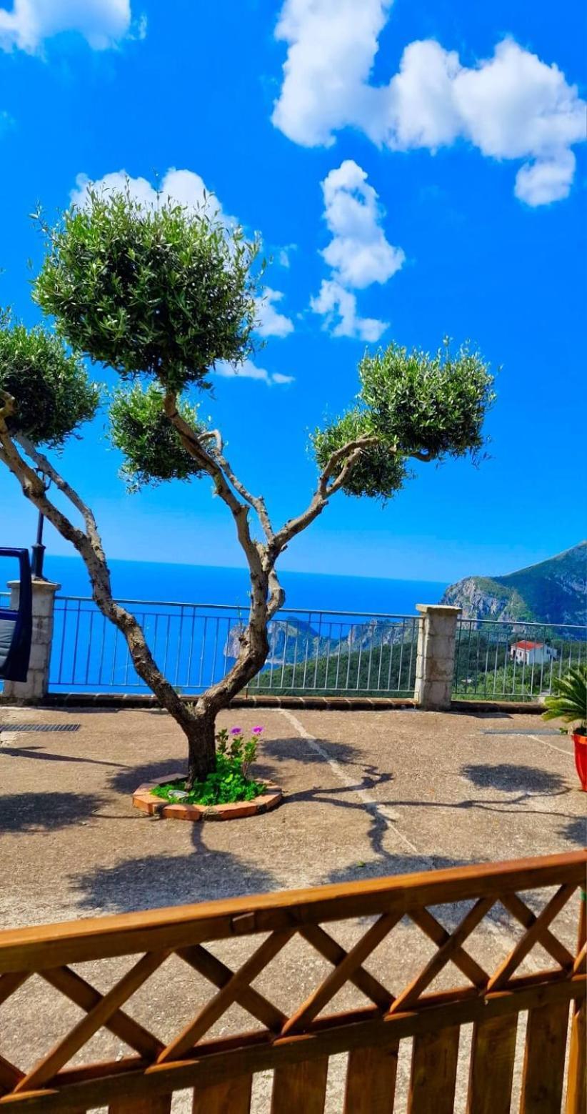 Ferienwohnung Casale I Tre Diamanti Massa Lubrense Exterior foto
